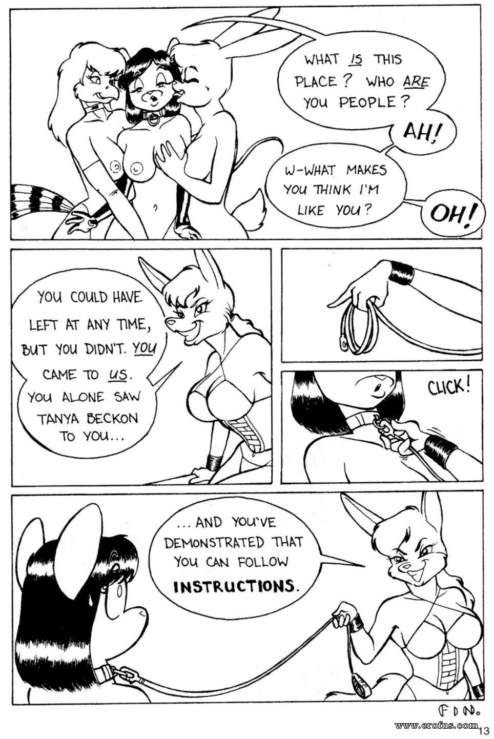 picture 15.jpg
