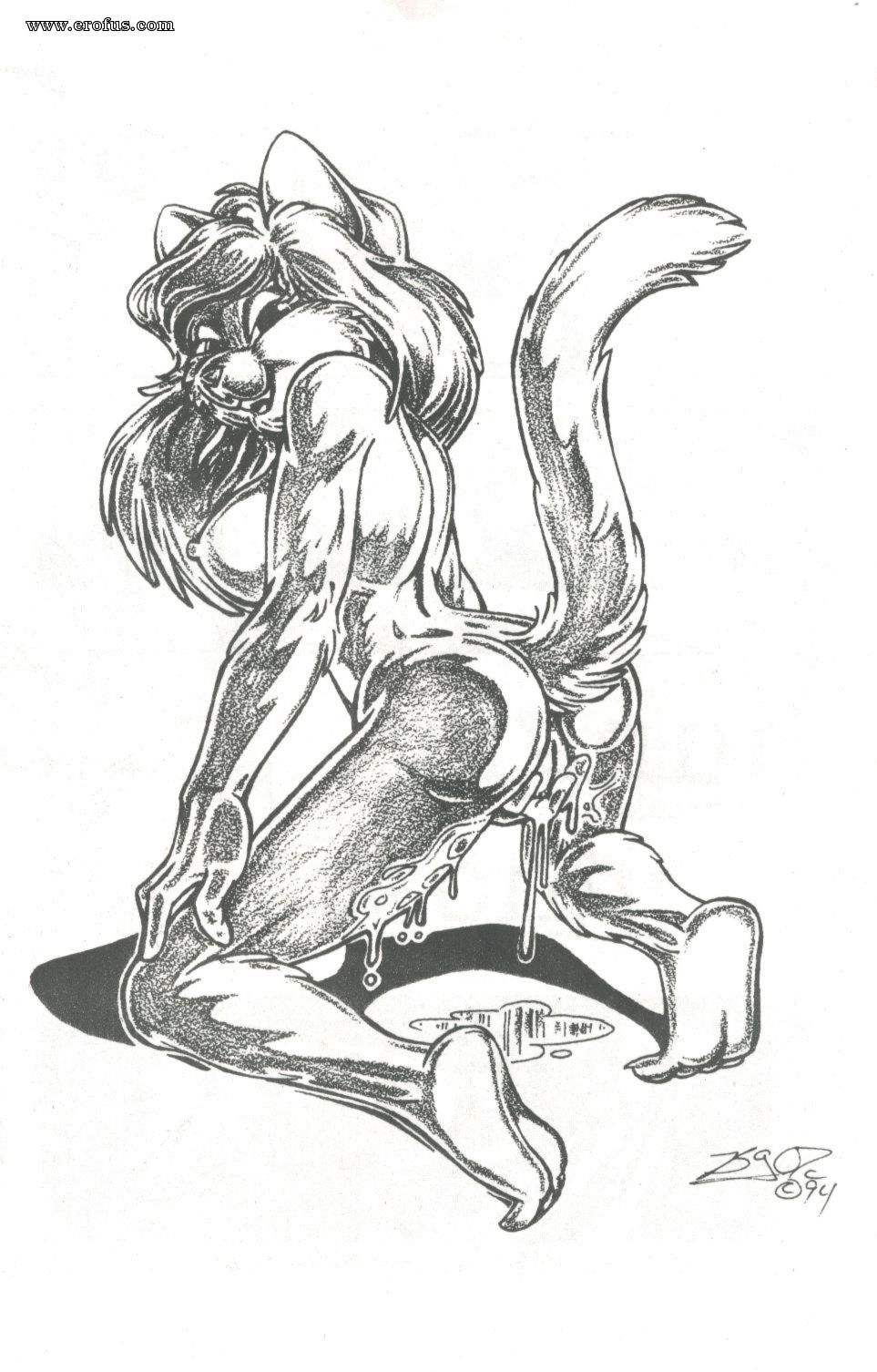 picture 19.JPG