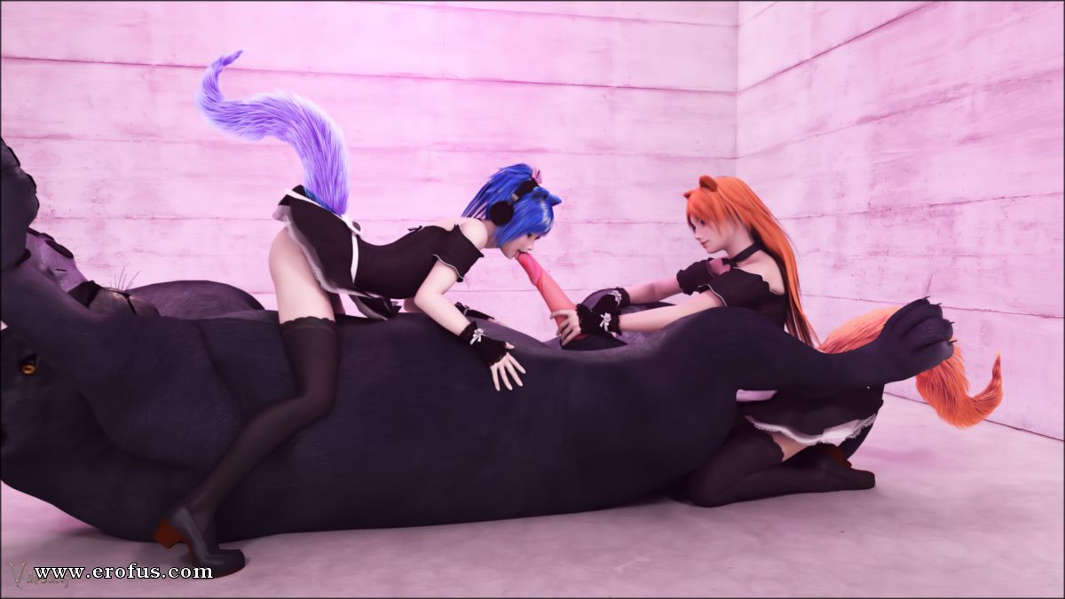 picture 12.jpg