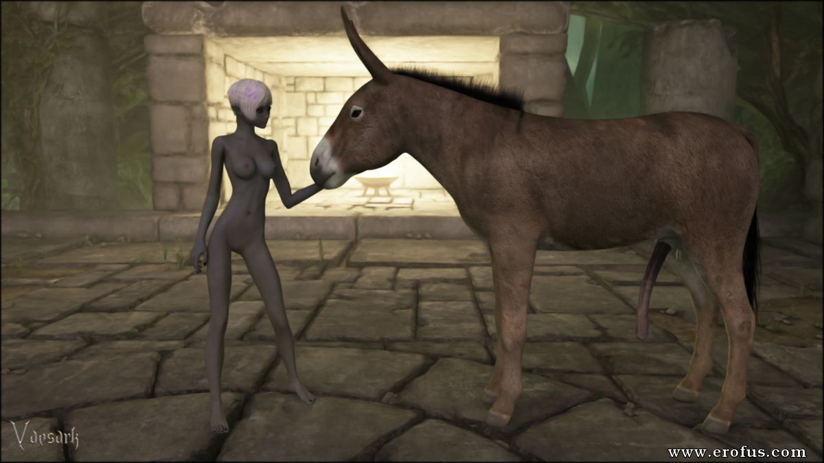 picture 33.jpg