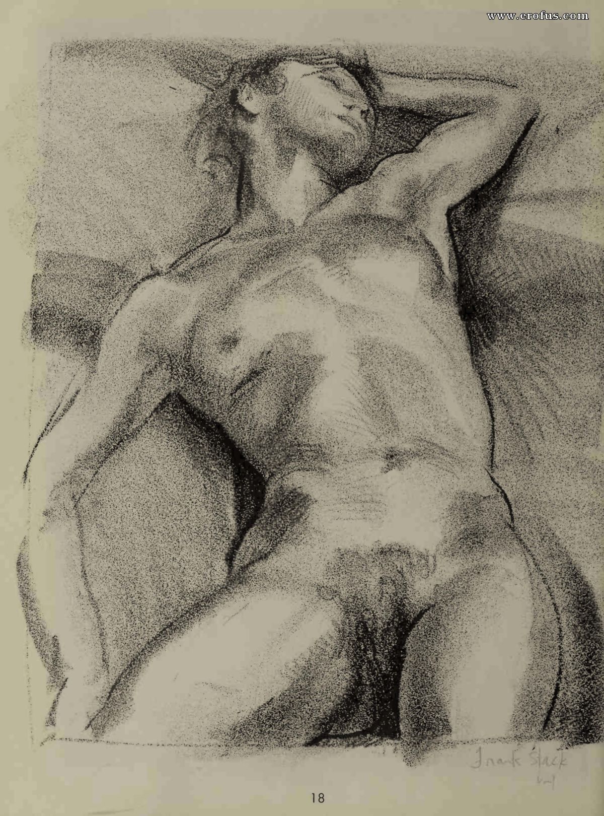 picture 20.jpg