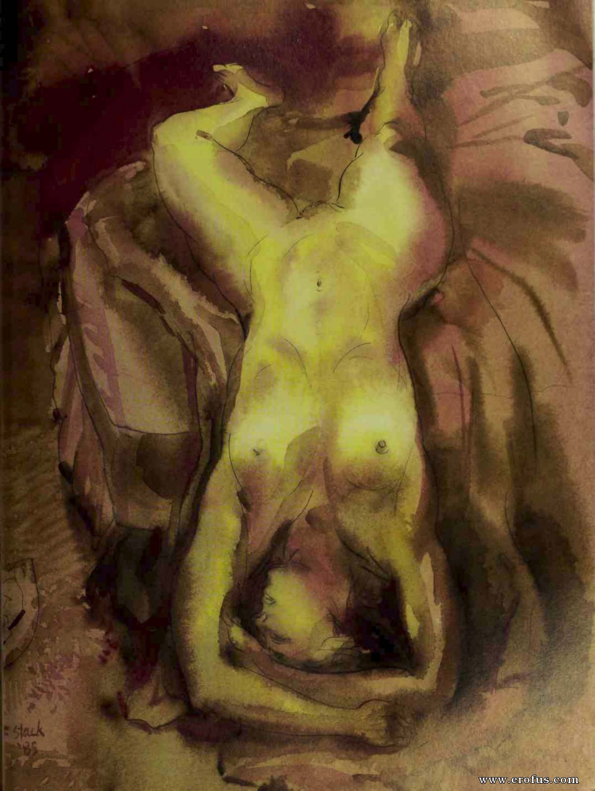 picture 31.jpg