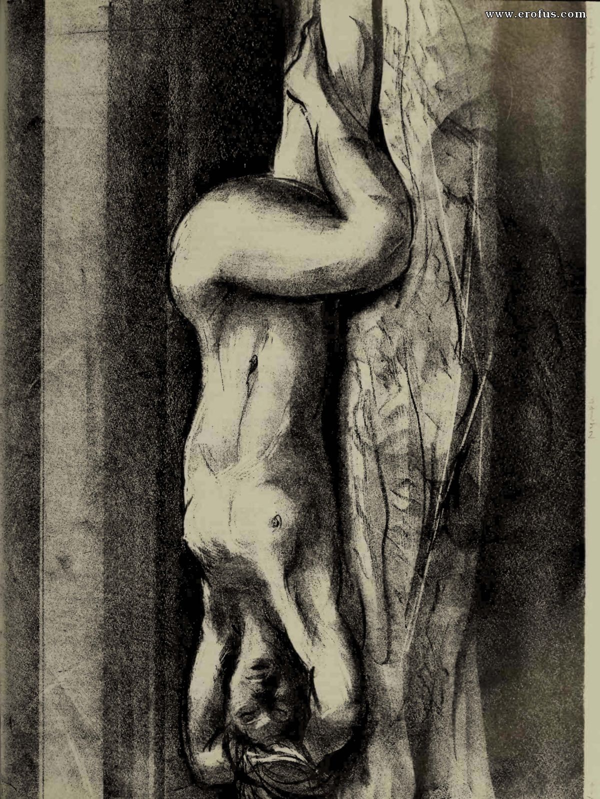 picture 71.jpg