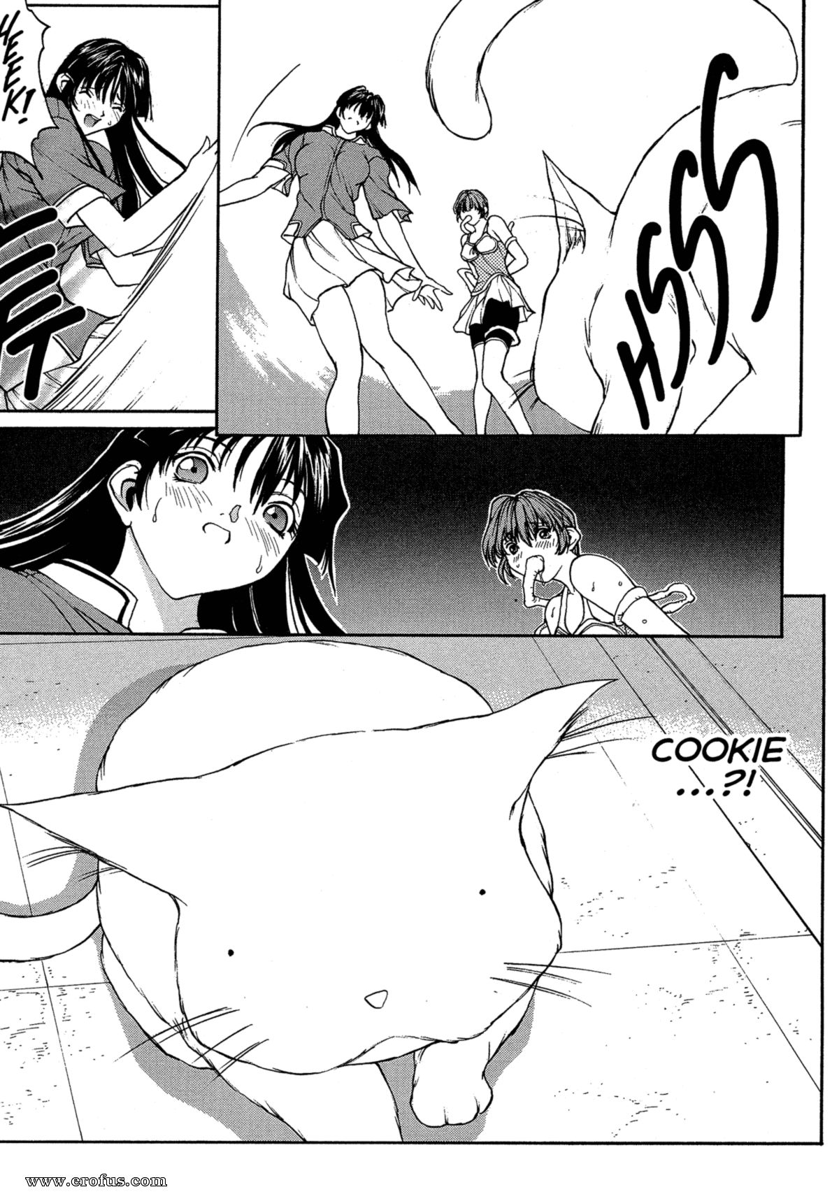 picture 36.png