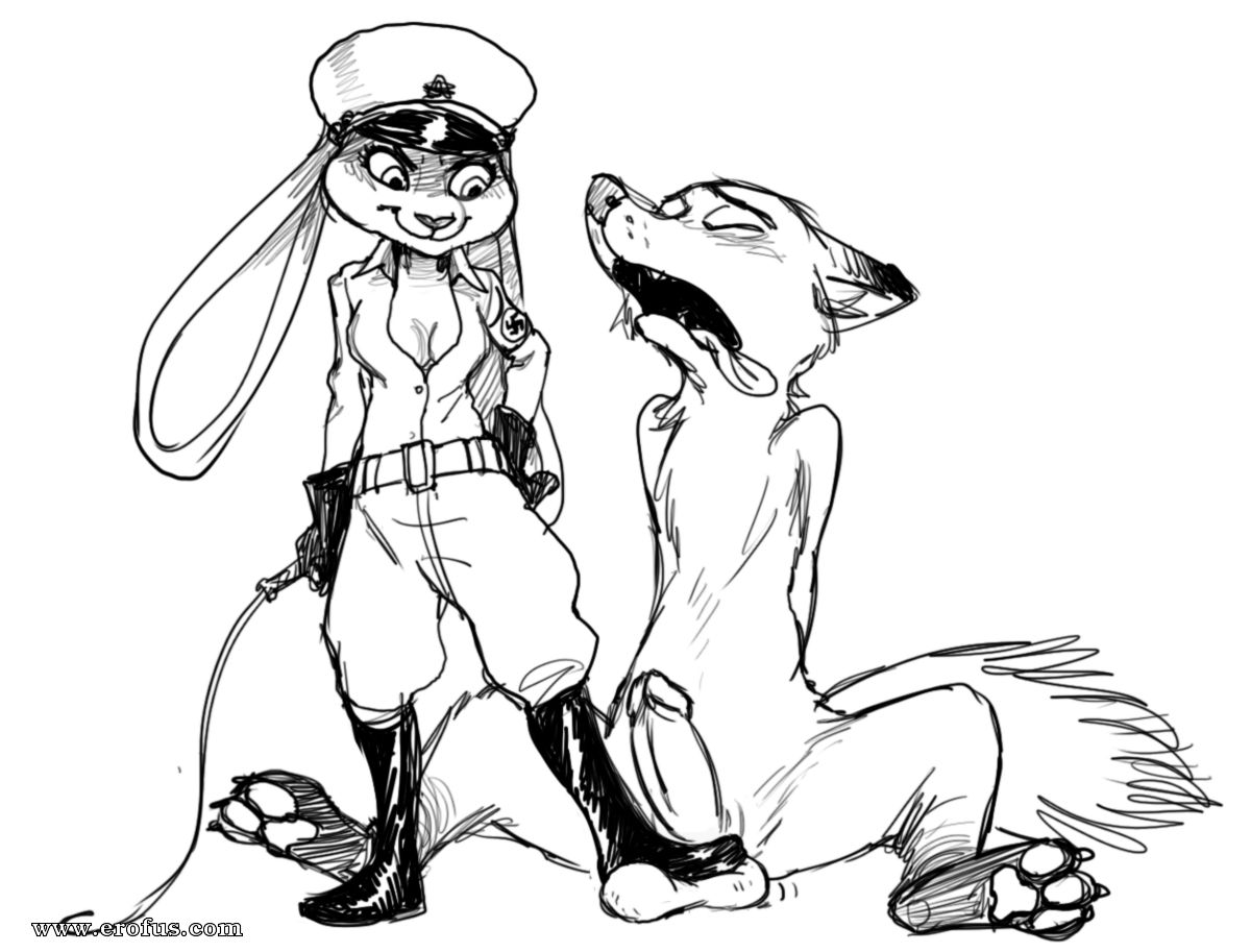 picture 20.png