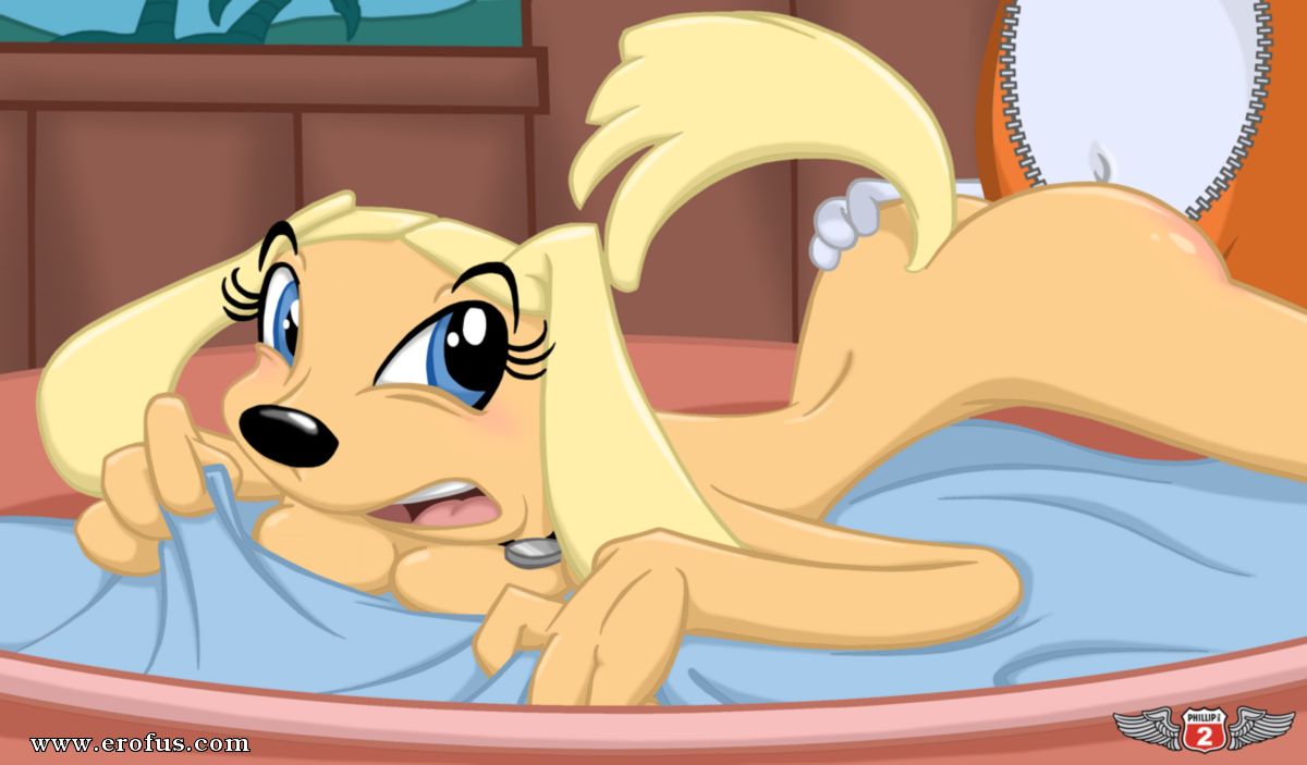 picture 49.png