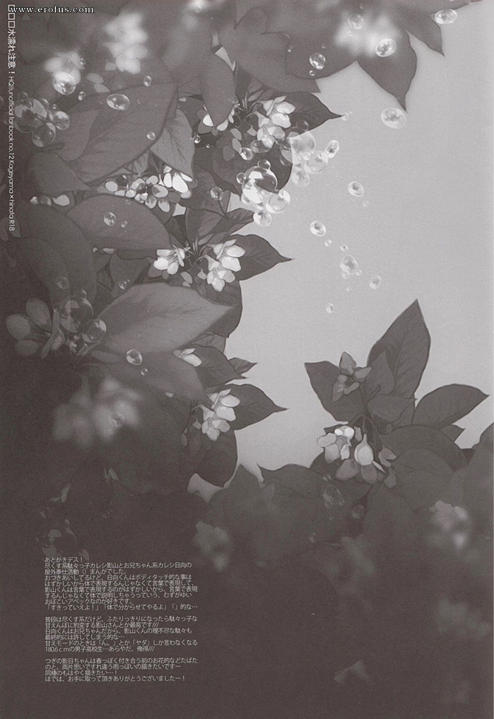 picture 29.png