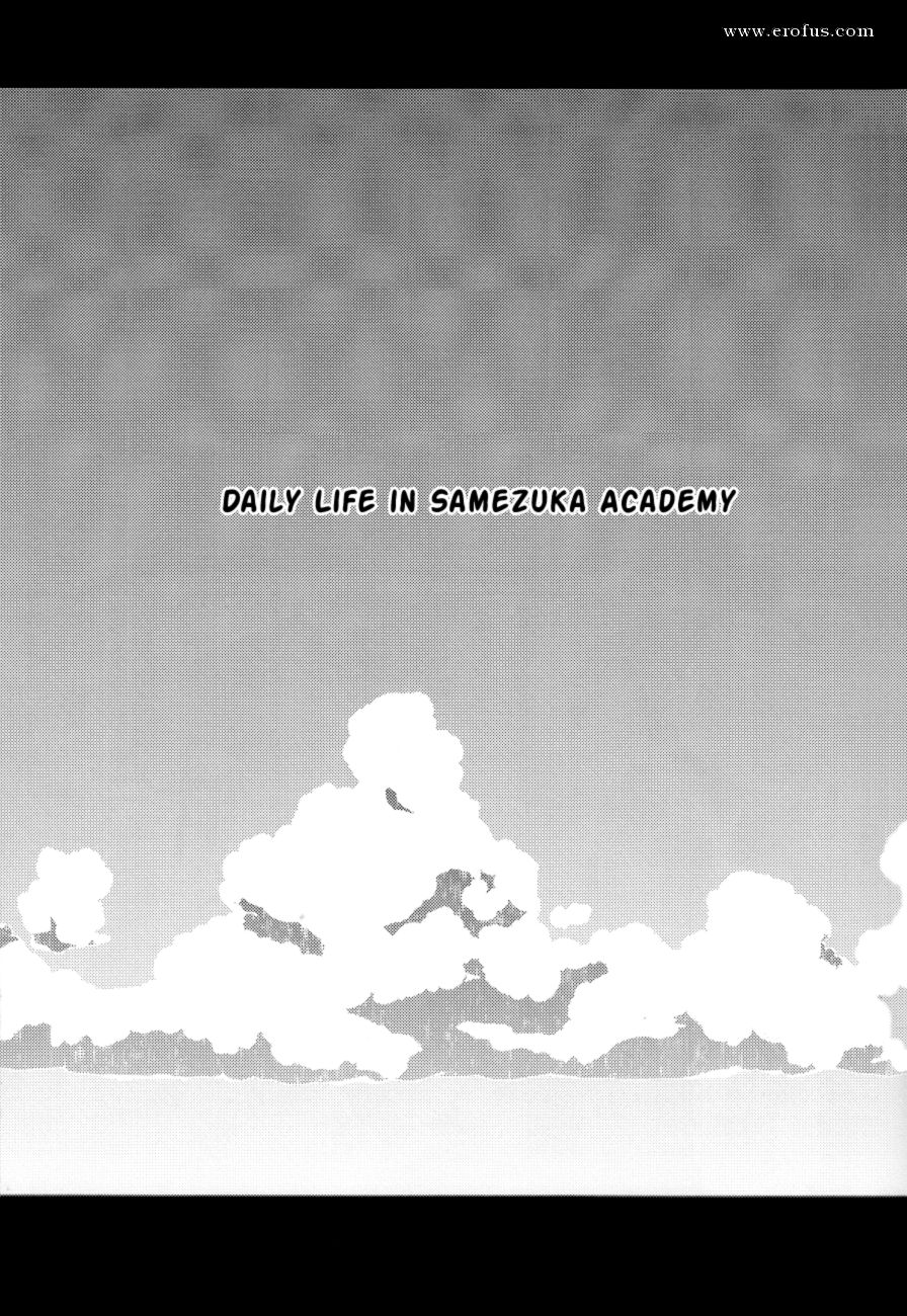 picture 04.png
