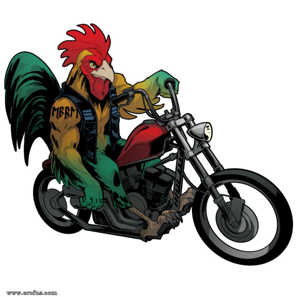 picture 13.png