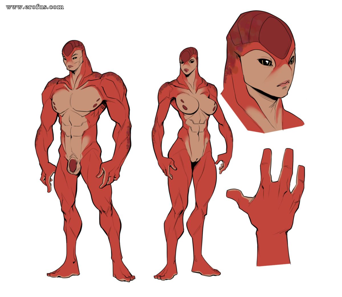 picture 27.png