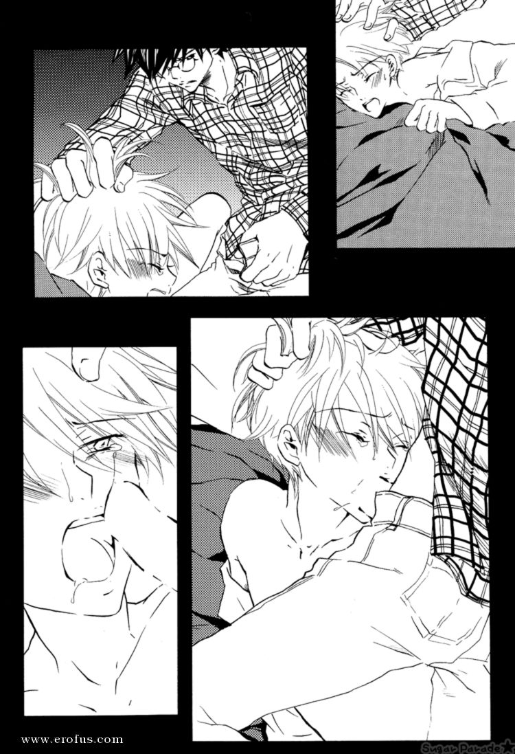 picture 11.png