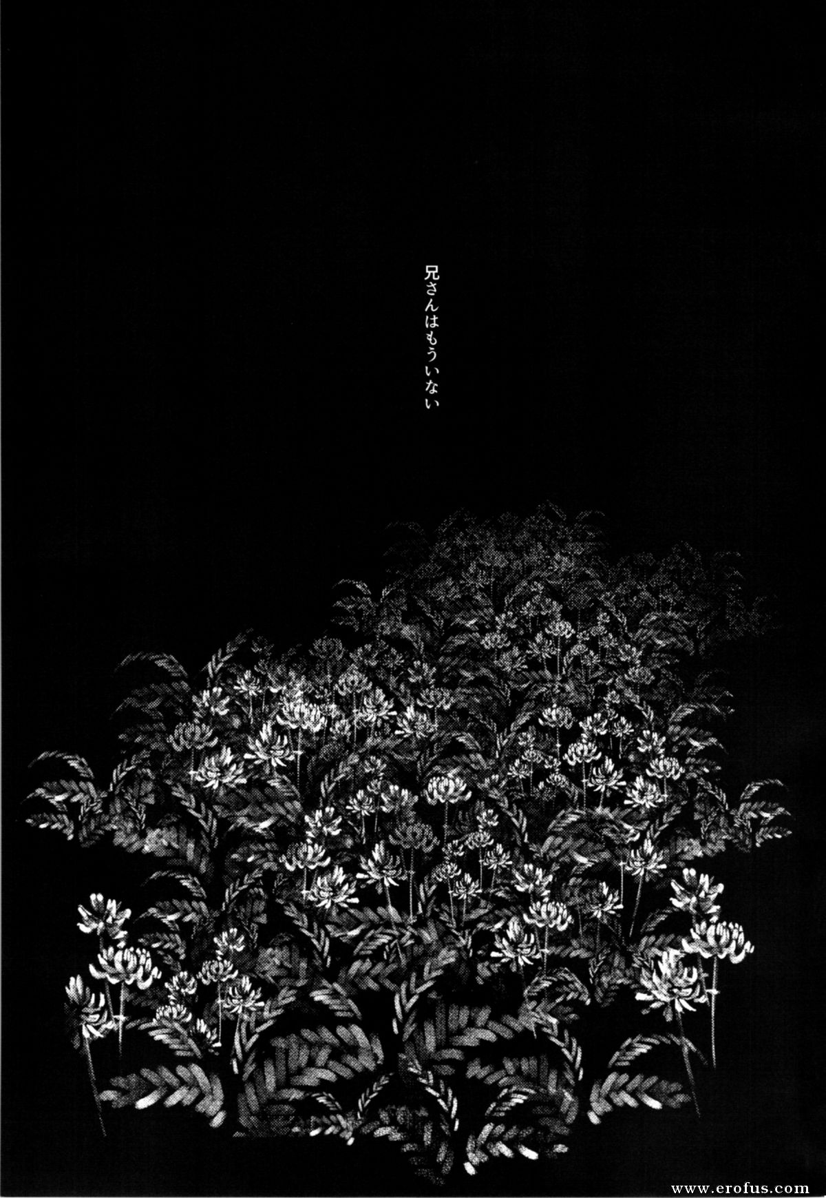 picture 02.png