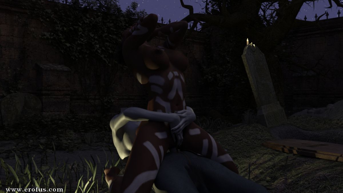 picture 03.jpg