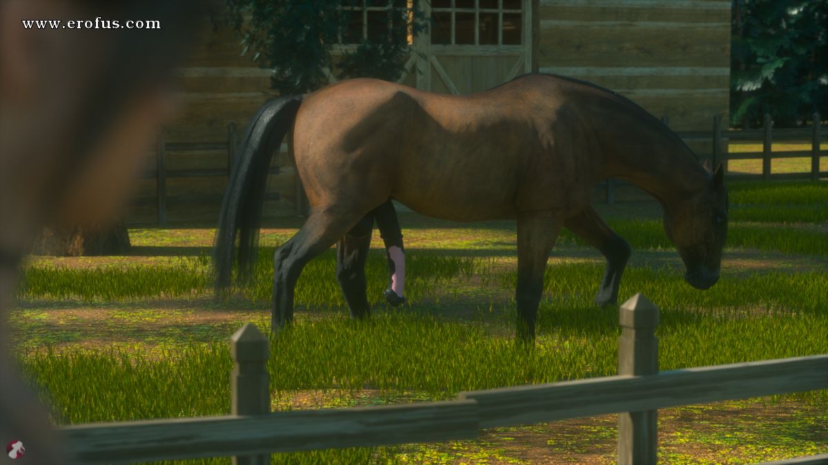 picture 04.png
