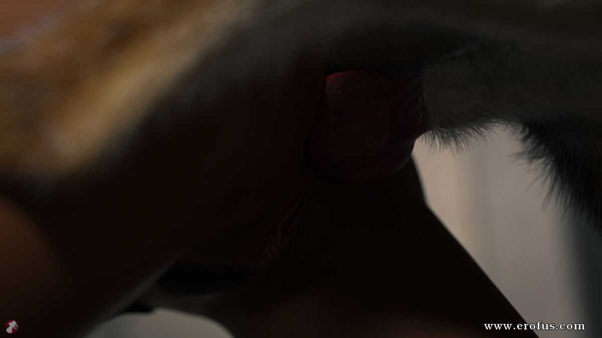 picture 111.jpg