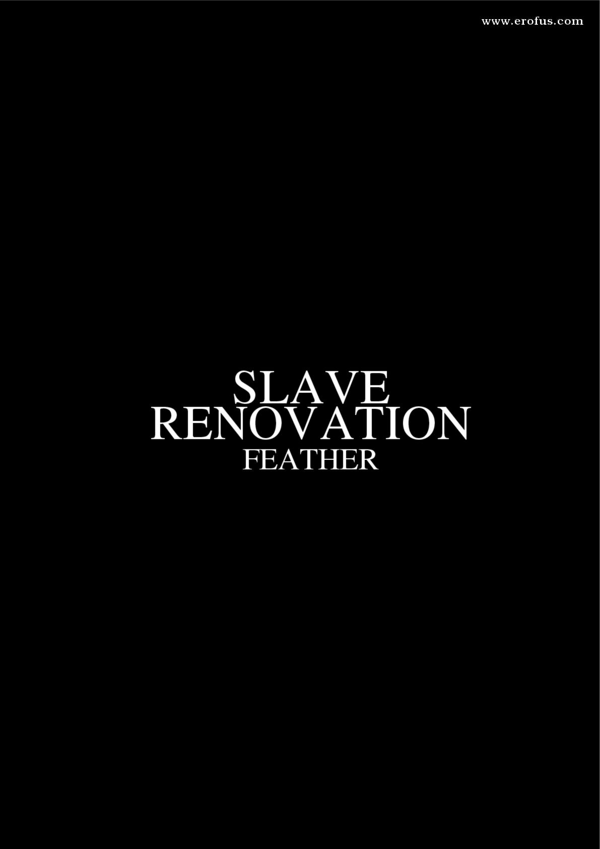 picture Fansadox-429---Slave-Renovation---Feather-008.jpg