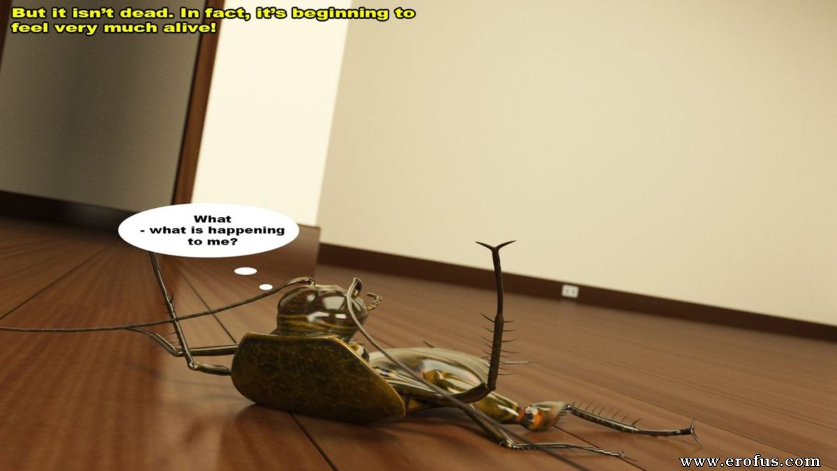 picture 12.jpeg