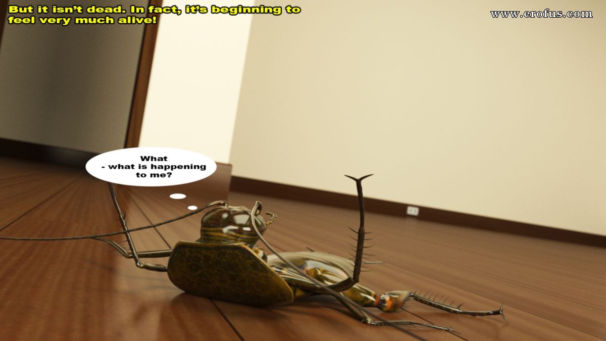picture 12.jpg