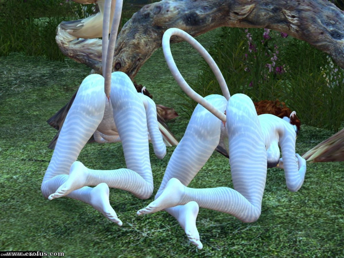 picture 32.jpg