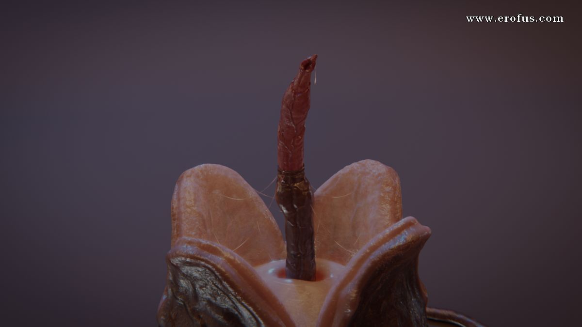 picture 04.png