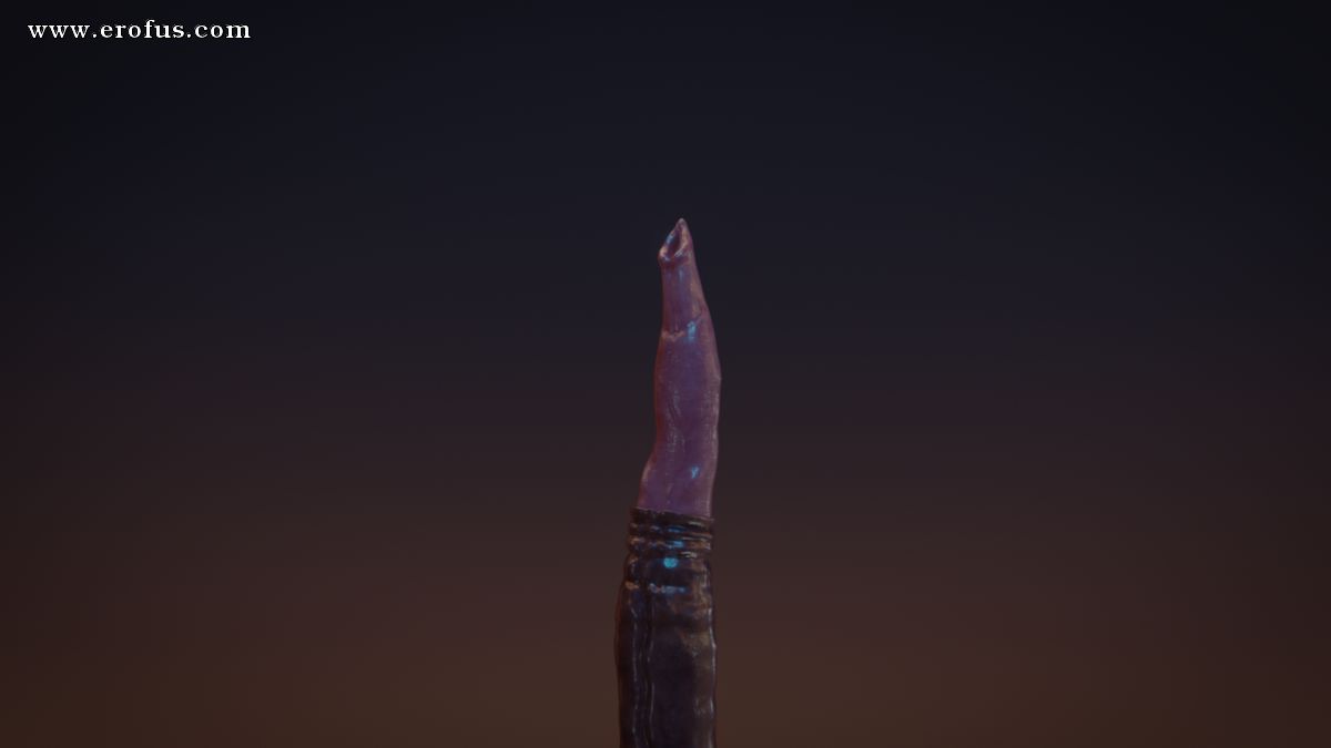picture 07.png