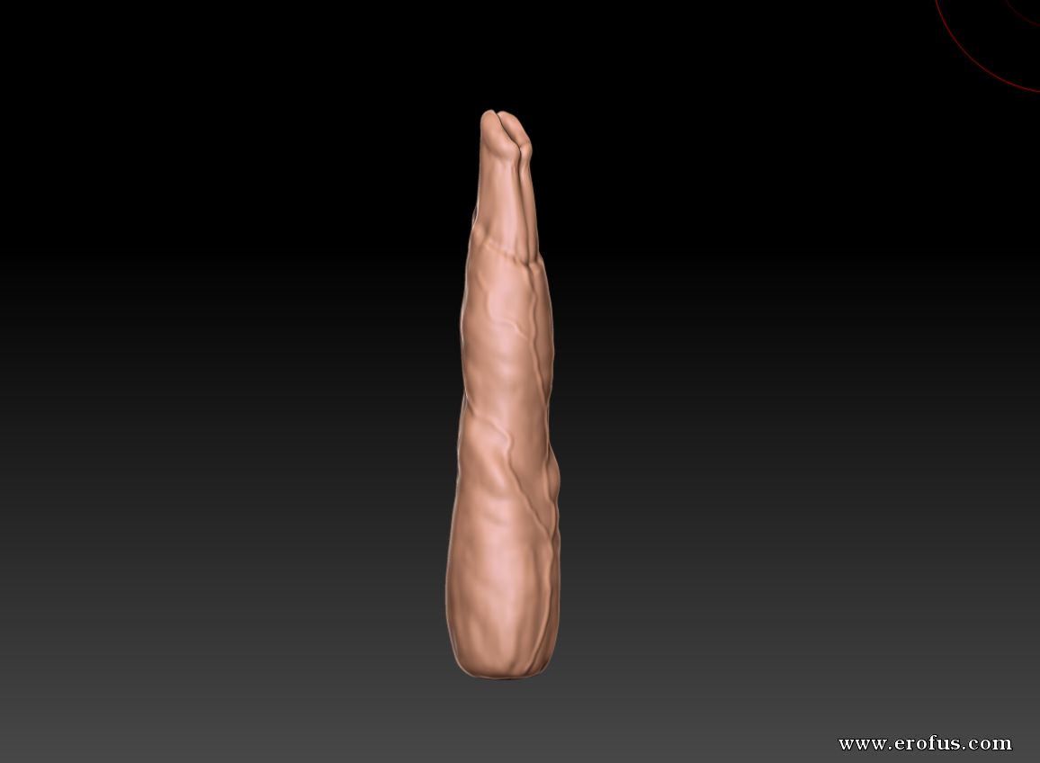 picture 02.png