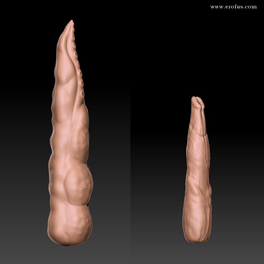picture 03.png