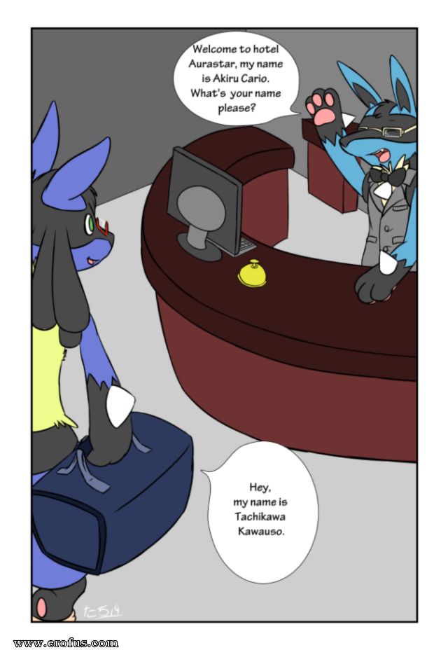 picture 01.png