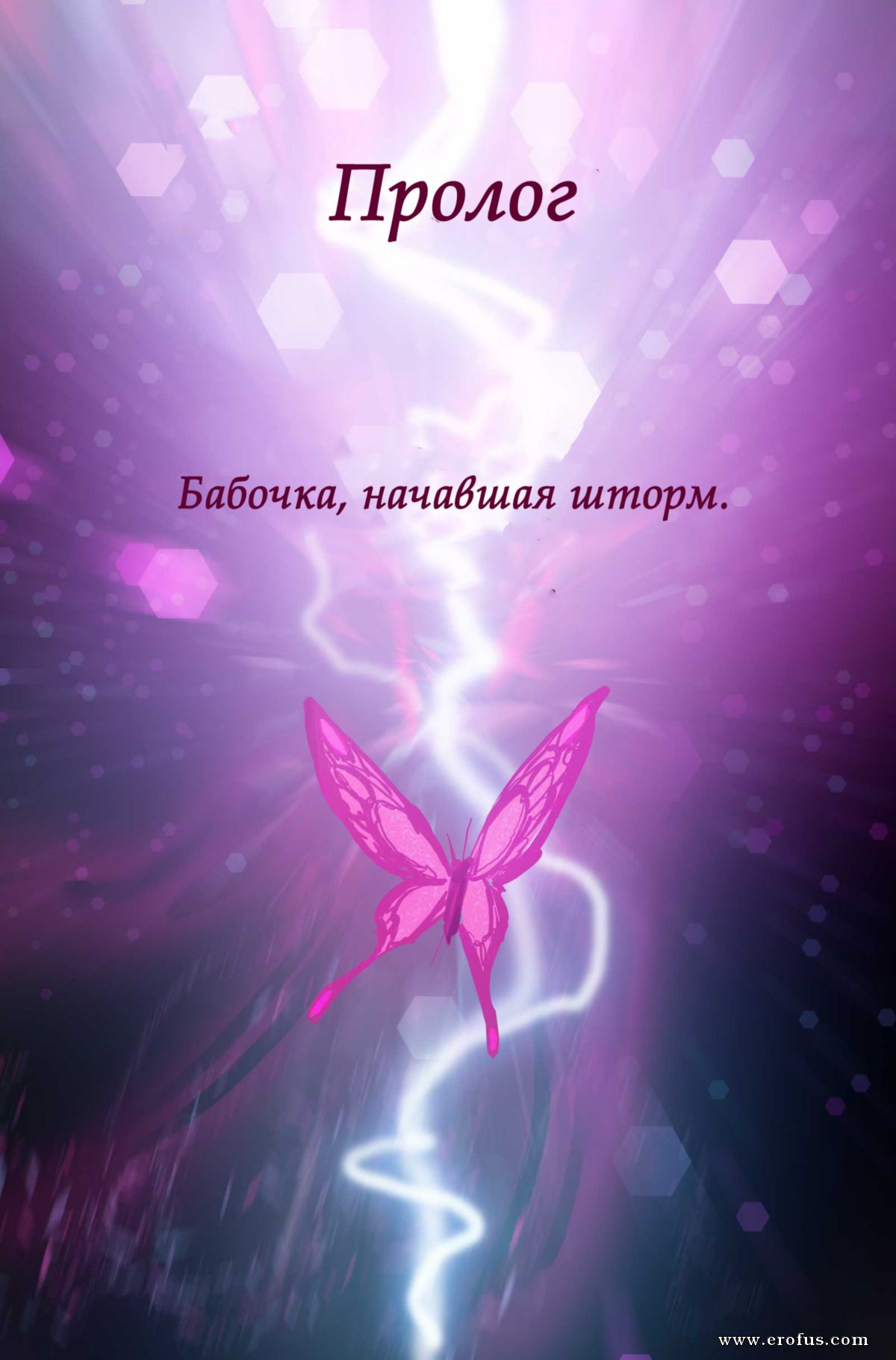picture 03.png