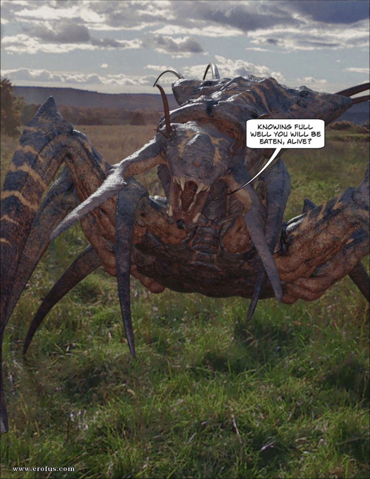 picture 11.png