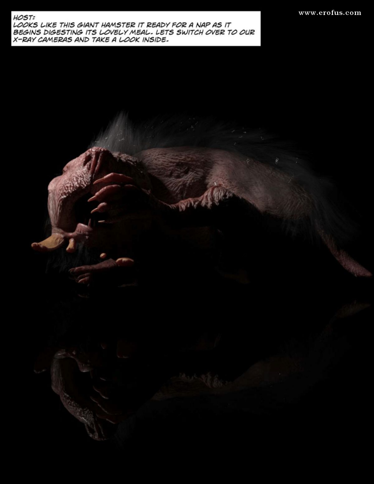 picture 48.png