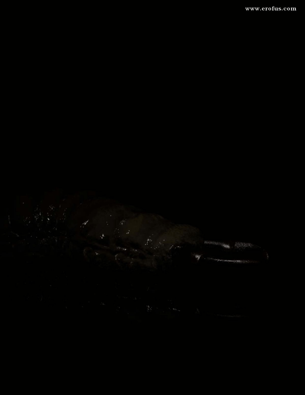 picture 18.png