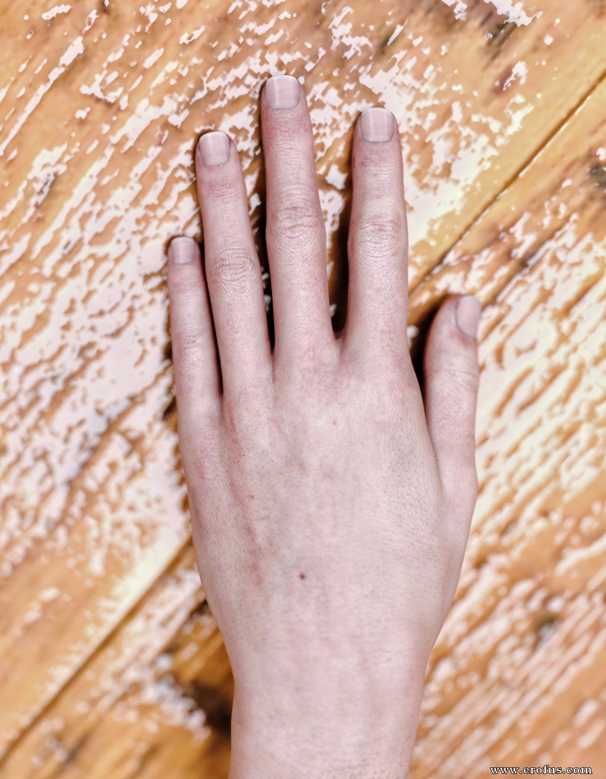 picture 43.JPG