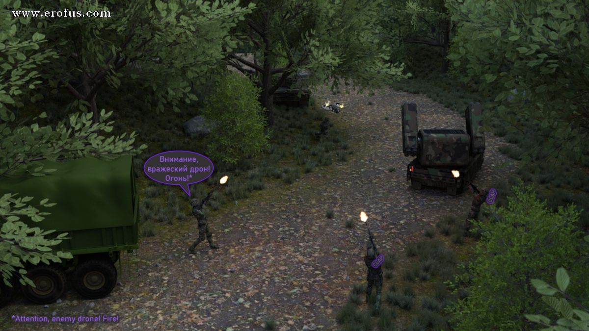 picture 11.jpg