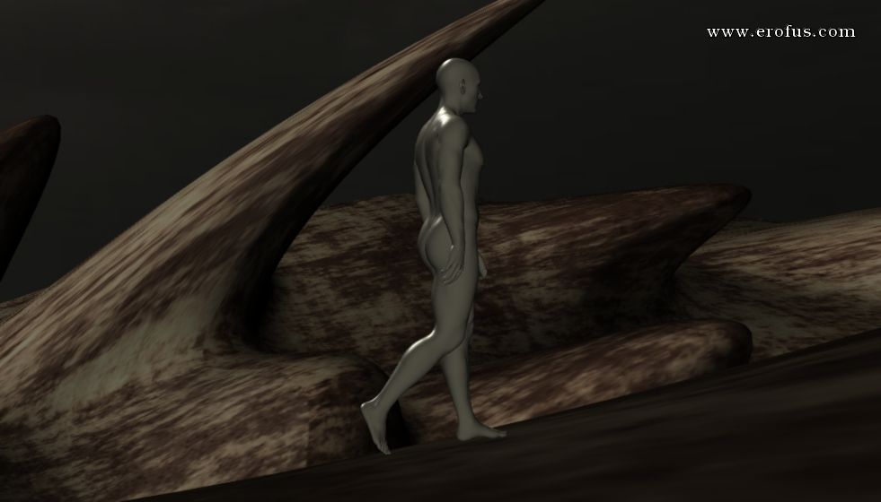 picture 13.jpg