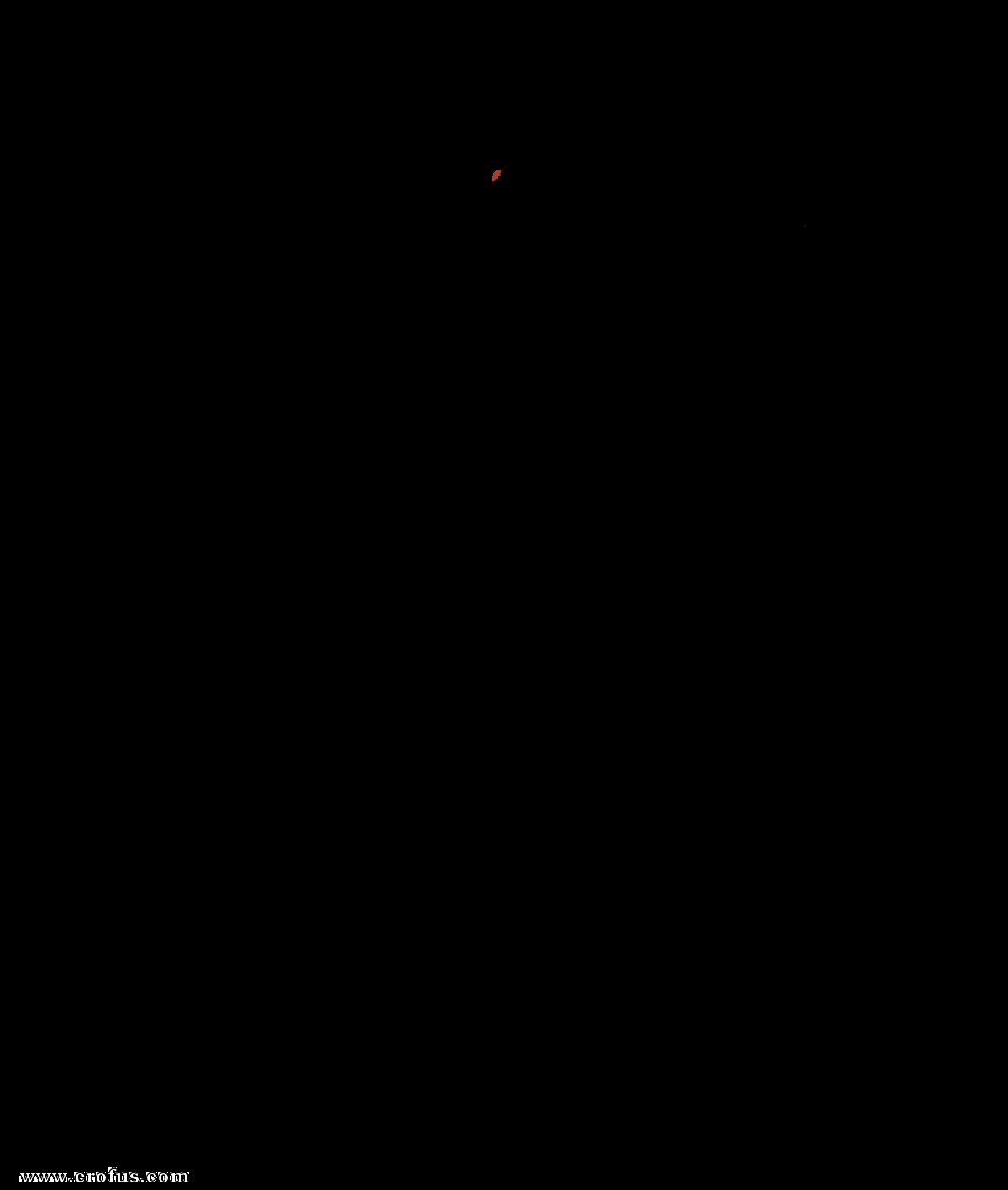 picture 04.png