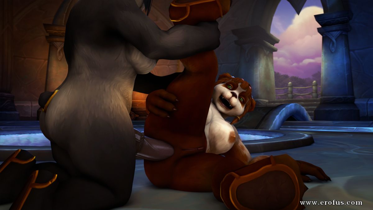 picture 04.png