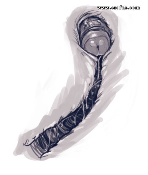 picture 57.png