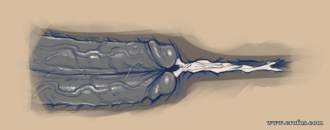 picture 48.png
