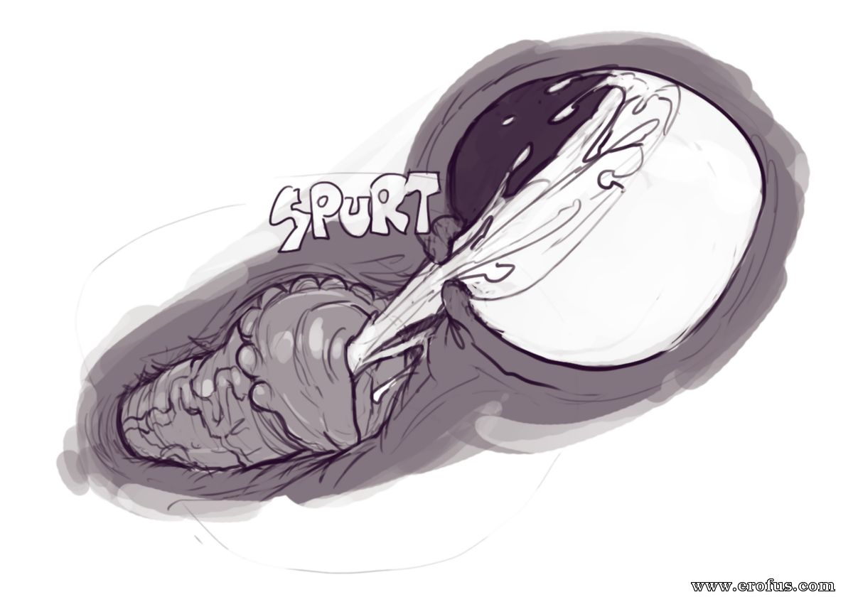 picture 40.png