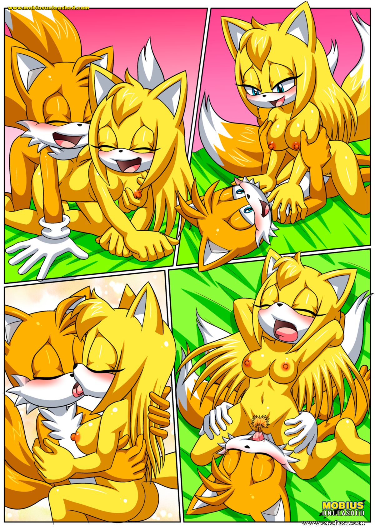 picture 11.png
