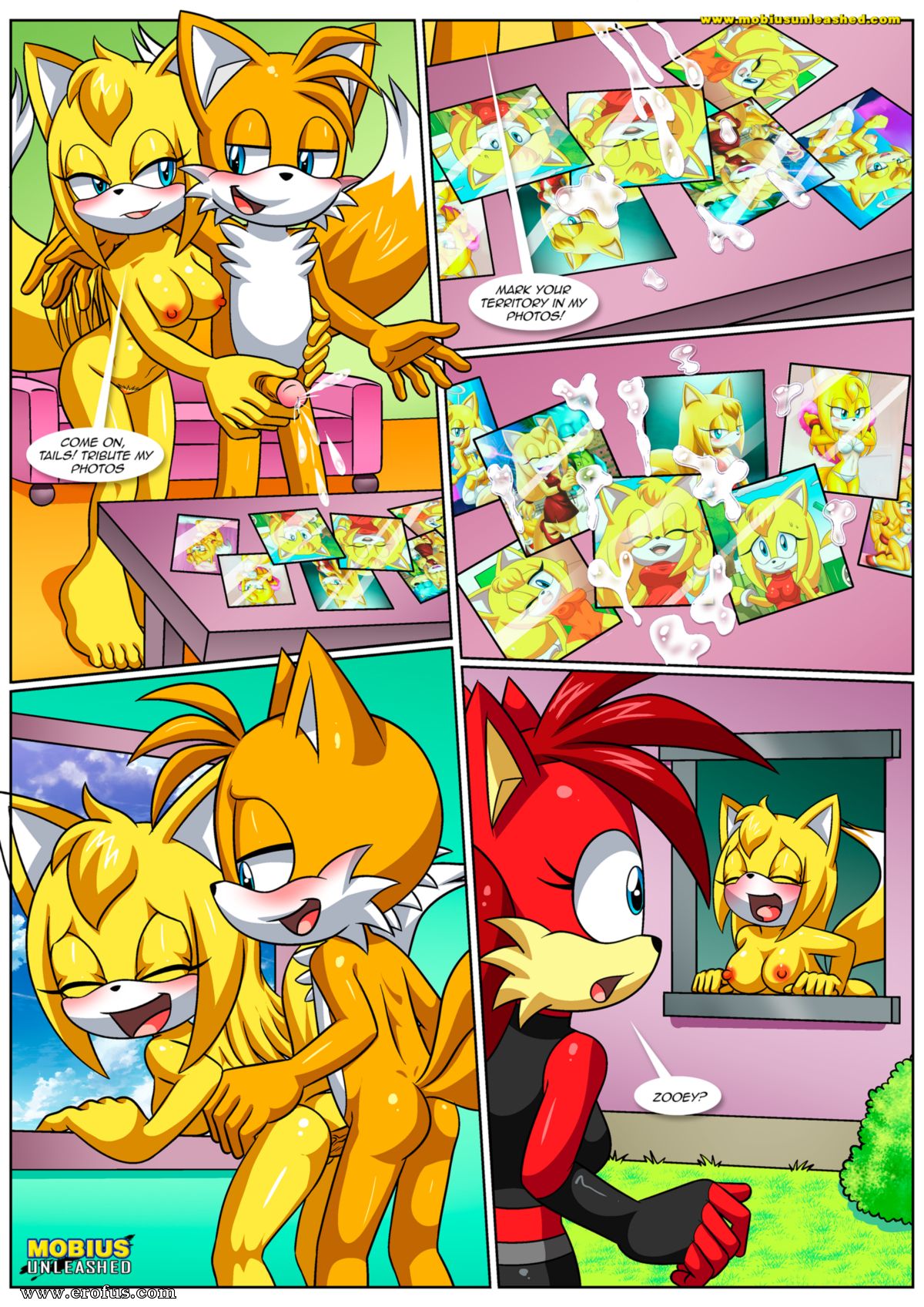 picture 14.png