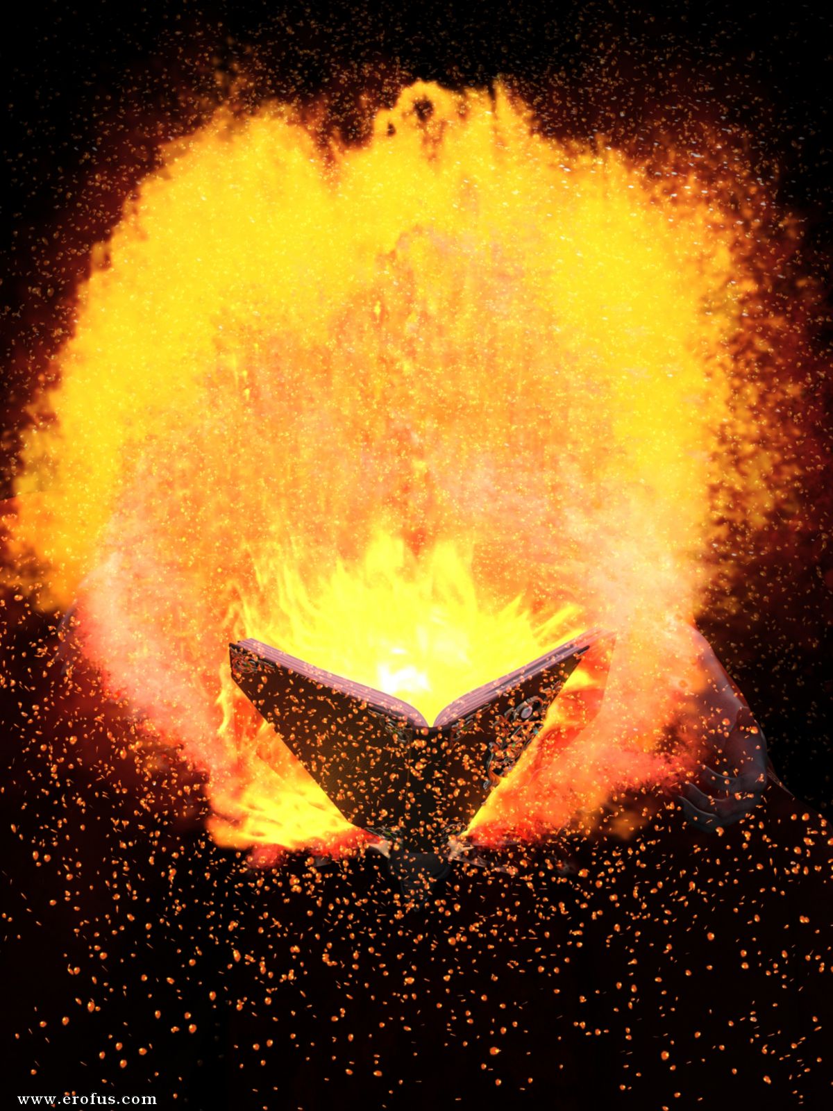 picture 13.jpg