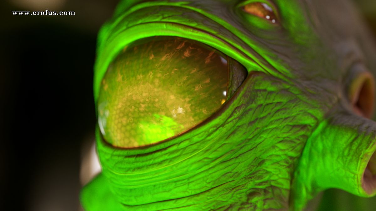 picture 11.png