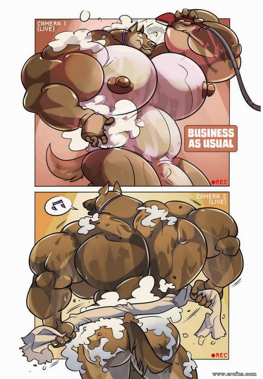 picture 11.jpg