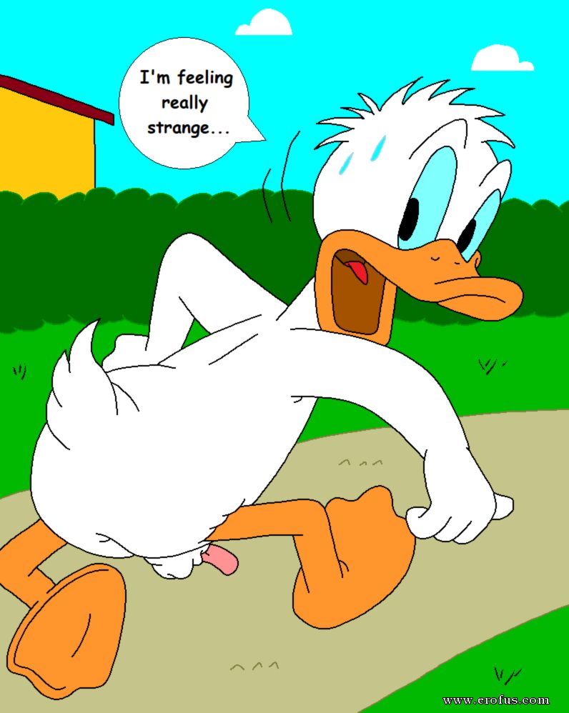 picture 116.png