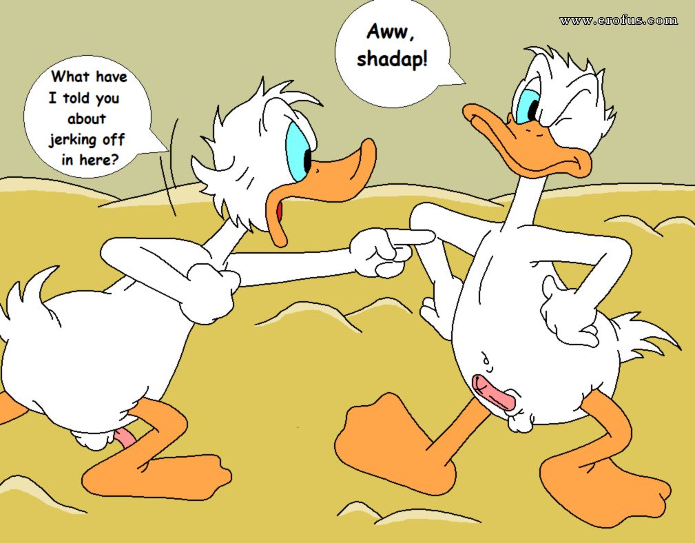 picture 13.png
