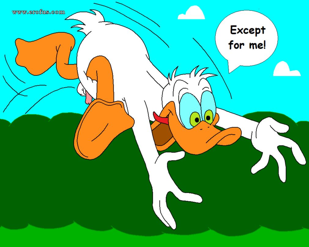 picture 31.png