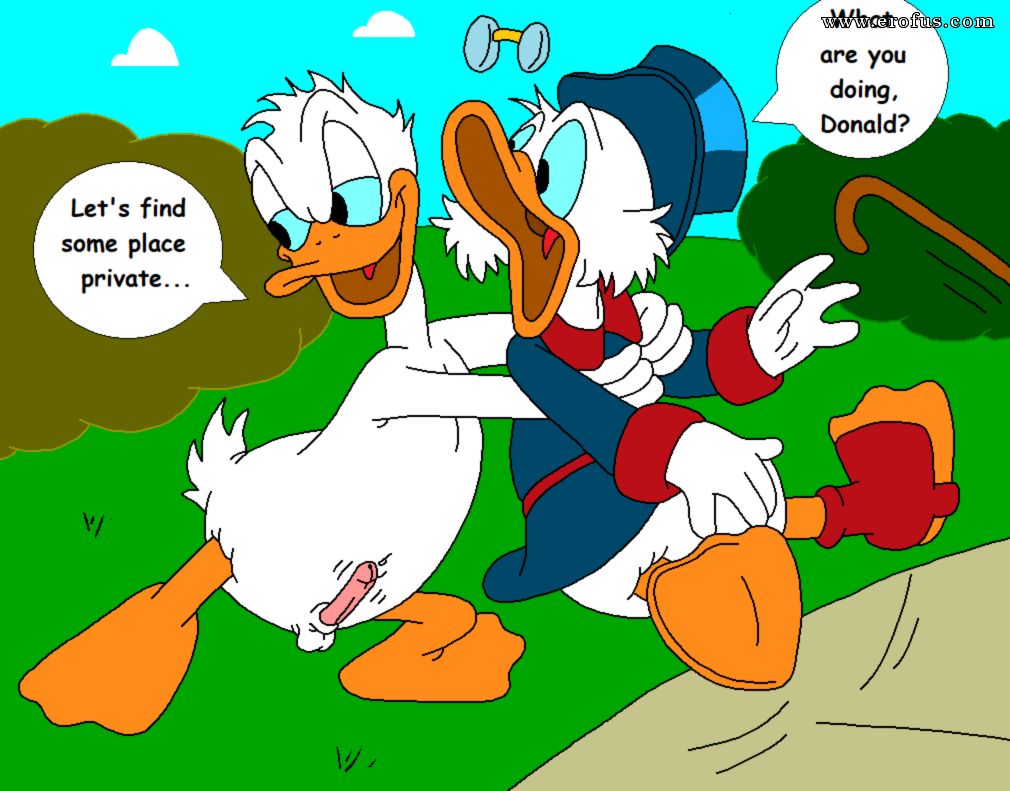 picture 33.png