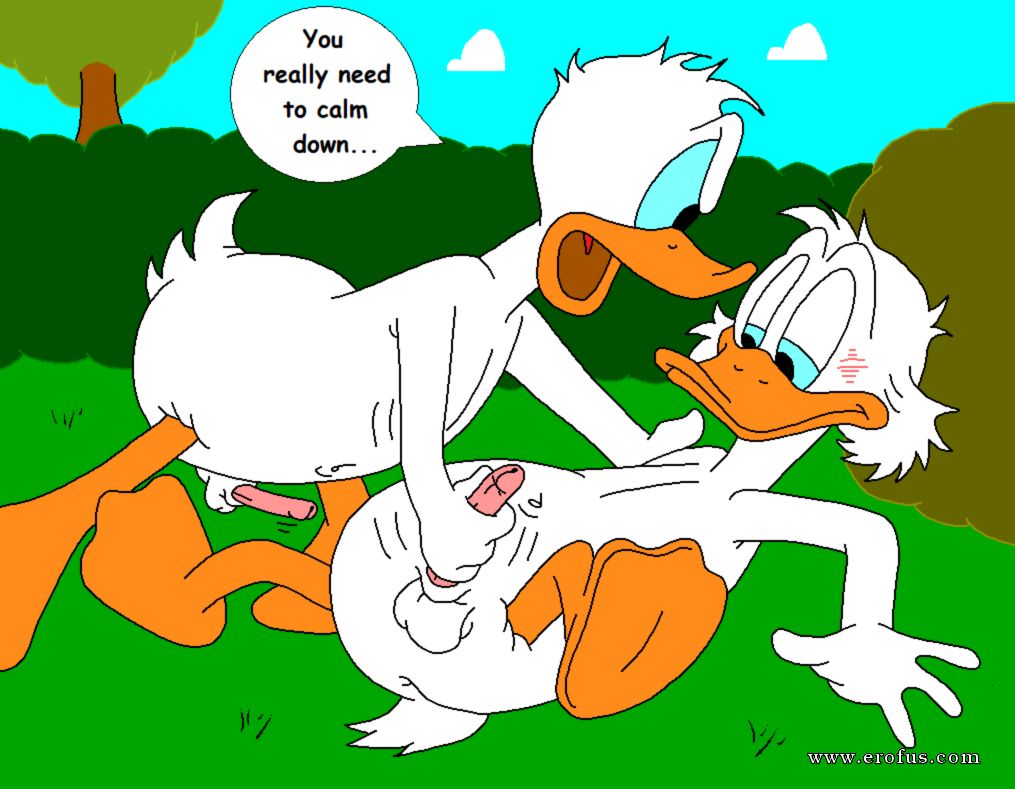 picture 36.png